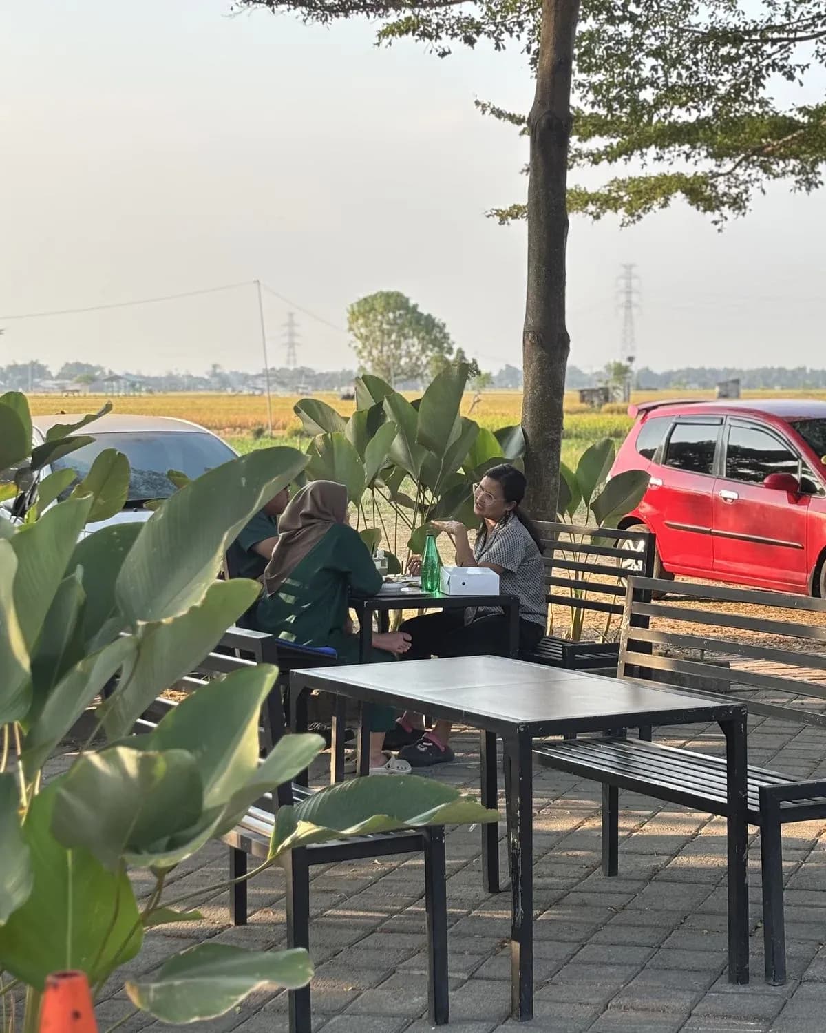 Dekat sawah